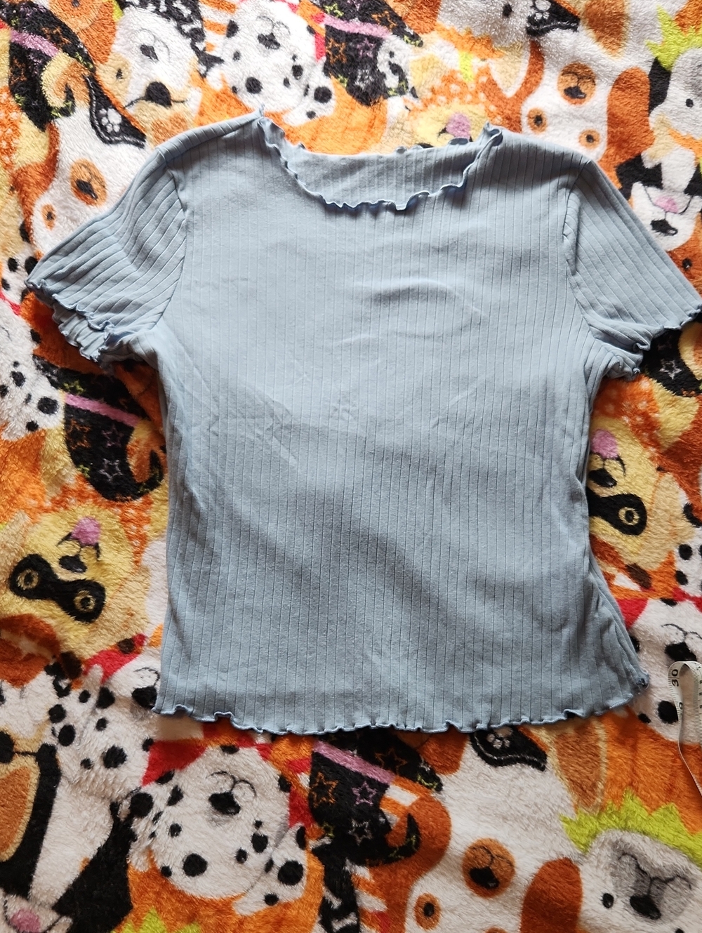 SHEIN Women’s Light Blue Ribbed Lettuce-Edge Short Sleeve Top XL